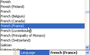 Gui Language
